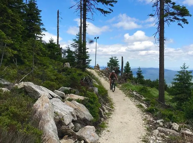 Ośrodek wypoczynkowy Szekla