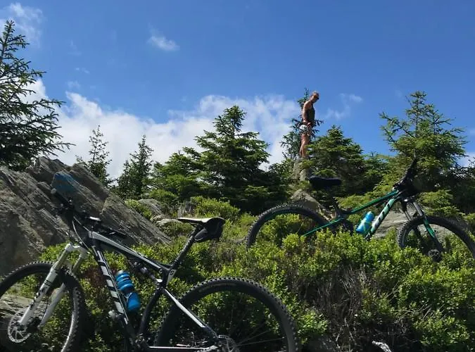 Szekla Ośrodek wypoczynkowy *